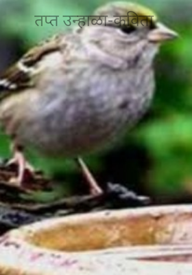 तप्त उन्हाळा