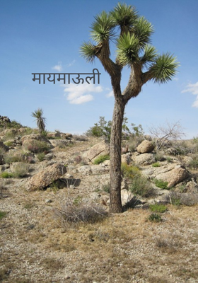 मायमाऊली