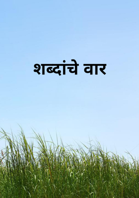 शब्दांचे वार