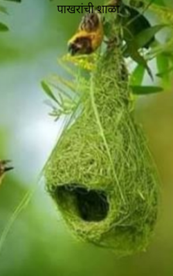 पाखरांची शाळा