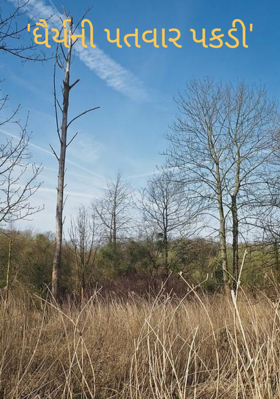 ધૈર્યની પતવાર પકડી