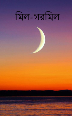 মিল-গরমিল