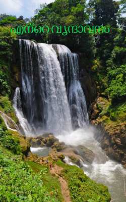 എന്റെ വൃന്ദാവനം