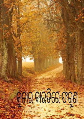 କୁନାର ବାଡିରେ ଫଗୁଣ