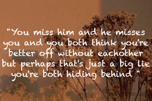 "You miss him and he misses you and you both think you're better off without eachother but perhaps that's just a big lie you're both hiding behind "