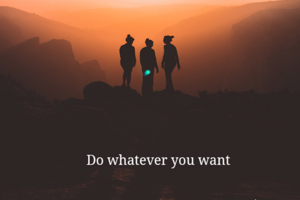 Do whatever you want
