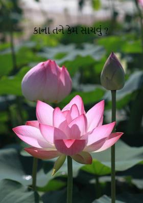 કાના તને કેમ સાચવું ?