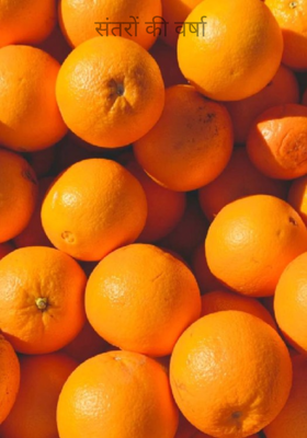 संतरों की वर्षा 