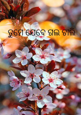 ତୁମେ ଯେବେ ଗଲ ଚାଲି