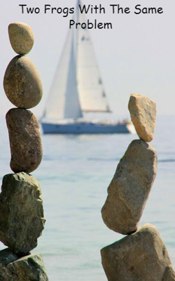 Two Frogs With The Same Problem