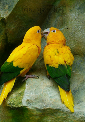 વિશ્વ પુરુષ દિન