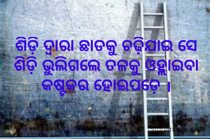 ଶିଡ଼ି ଦ୍ବାରା ଛାତକୁ ଚଢ଼ିଯାଇ ସେ ଶିଡି଼ ଭୁଲିଗଲେ ତଳକୁ ଓହ୍ଲାଇବା କଷ୍ଟକର ହୋଇପଡ଼େ ।
