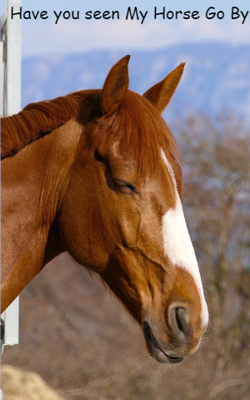 Have You Seen My Horse Go By