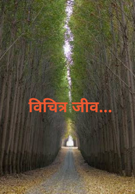 विचित्र जीव...