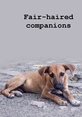 Fair-Haired Companions