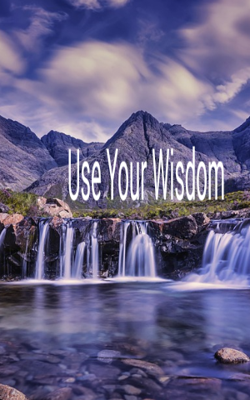 Use Your Wisdom