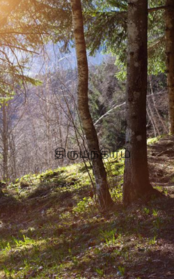 திருமந்திரம்