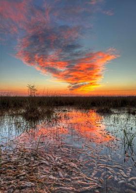 समस्या - समाधान