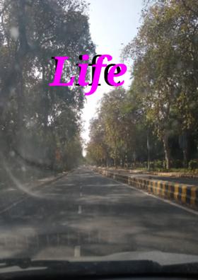 Life