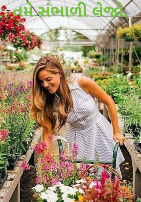 તમે સંભાળી લેજો