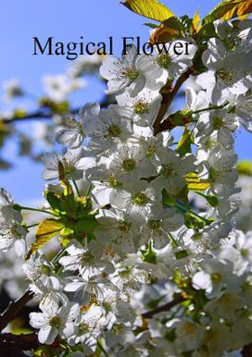 Magical Flower