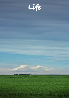 Life