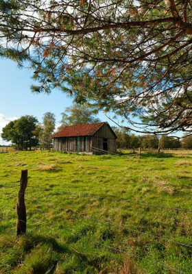 નિશાળમાં ભૂત