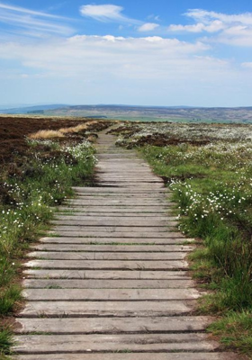 ଜୀବନର ଶେଷ ପାହାଚ