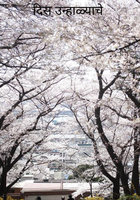 दिस उन्हाळ्याचे