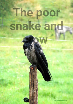 The poor snake and crow 