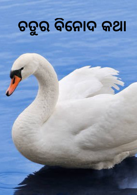 ଚତୁର ବିନୋଦ କଥା