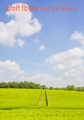 डायरी दिनांक २५/१२/२०२१