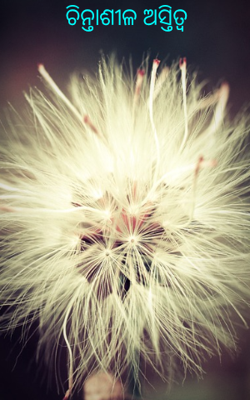 ଚିନ୍ତାଶୀଳ ଅସ୍ତିତ୍ବ 