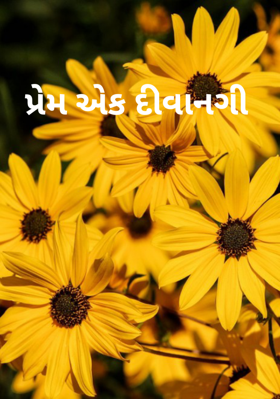 પ્રેમ એક દીવાનગી