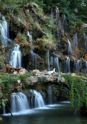 ରୋମାଞ୍ଚକର ଅନୁଭୂତି