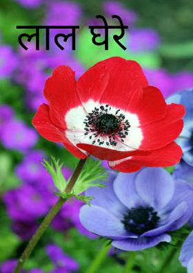 लाल घेरे