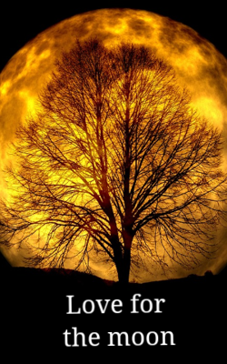 Love For The Moon