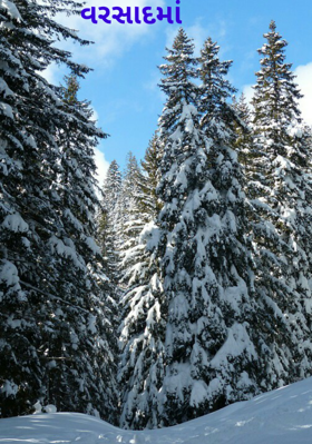 વરસાદમાં