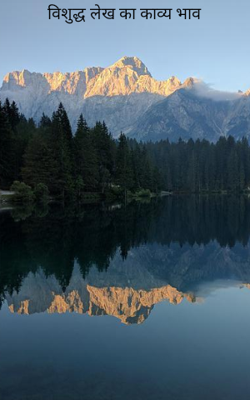 विशुद्ध लेख का काव्य भाव