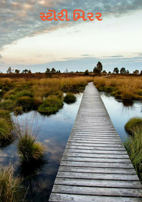 સ્ટોરીમિરર