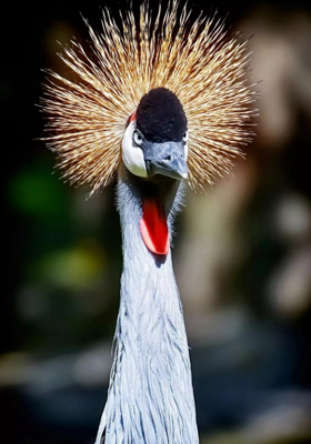 મઝધારે માઝા મૂકી