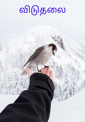 விடுதலை