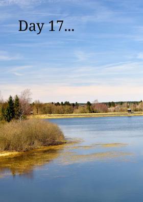 Day 17