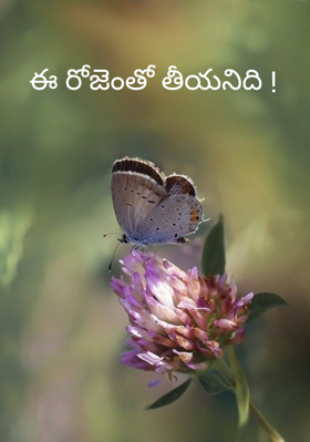 ఈ రోజెంతో తీయనిది !