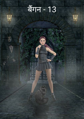 बैंगन - 13