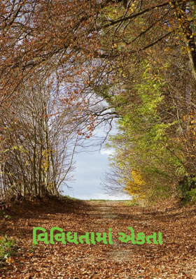 વિવિધતામાં એકતા