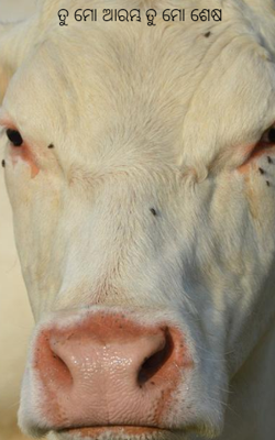 ତୁ ମୋ ଆରମ୍ଭ ତୁ ମୋ ଶେଷ