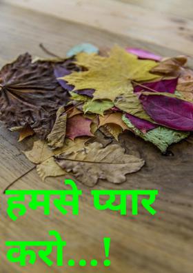 हमसे प्यार करो !