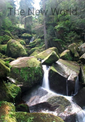 The New World