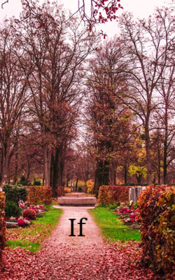 If